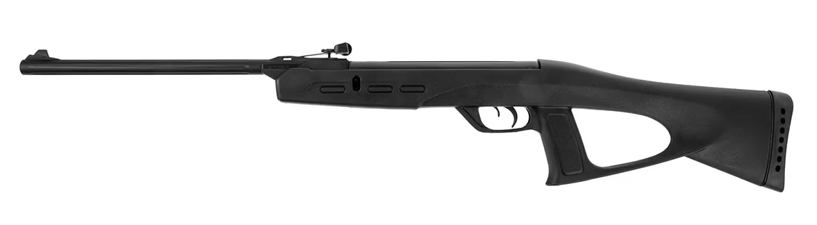 Gamo Delta air rifle